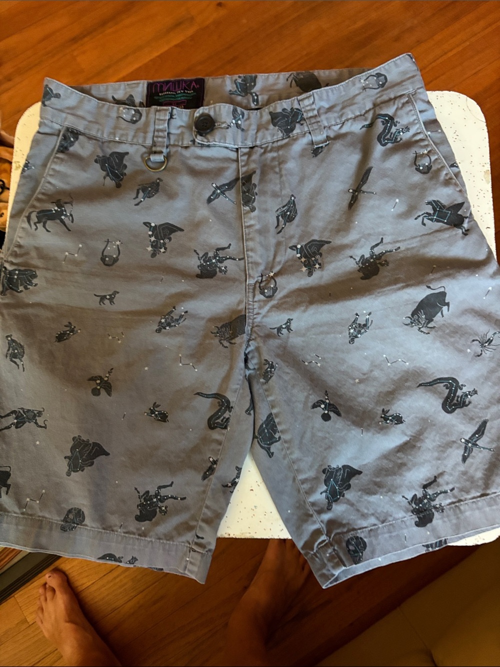 Mishka Gray Printed Flat-Front Men’s Shorts